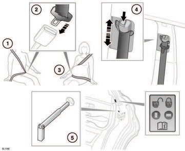 Occupant safety using seat belts