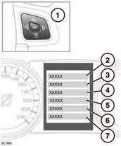 Vehicle information and settings menu