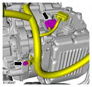 Range Rover Evoque. Wiring Harnesses