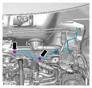 Range Rover Evoque. Module Communications Network