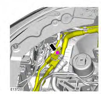 Range Rover Evoque. Module Communications Network