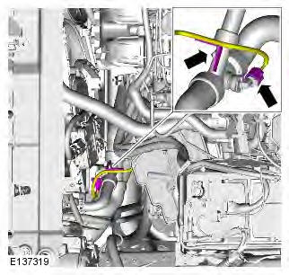 Range Rover Evoque. Wiring Harnesses