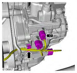 Range Rover Evoque. Wiring Harnesses